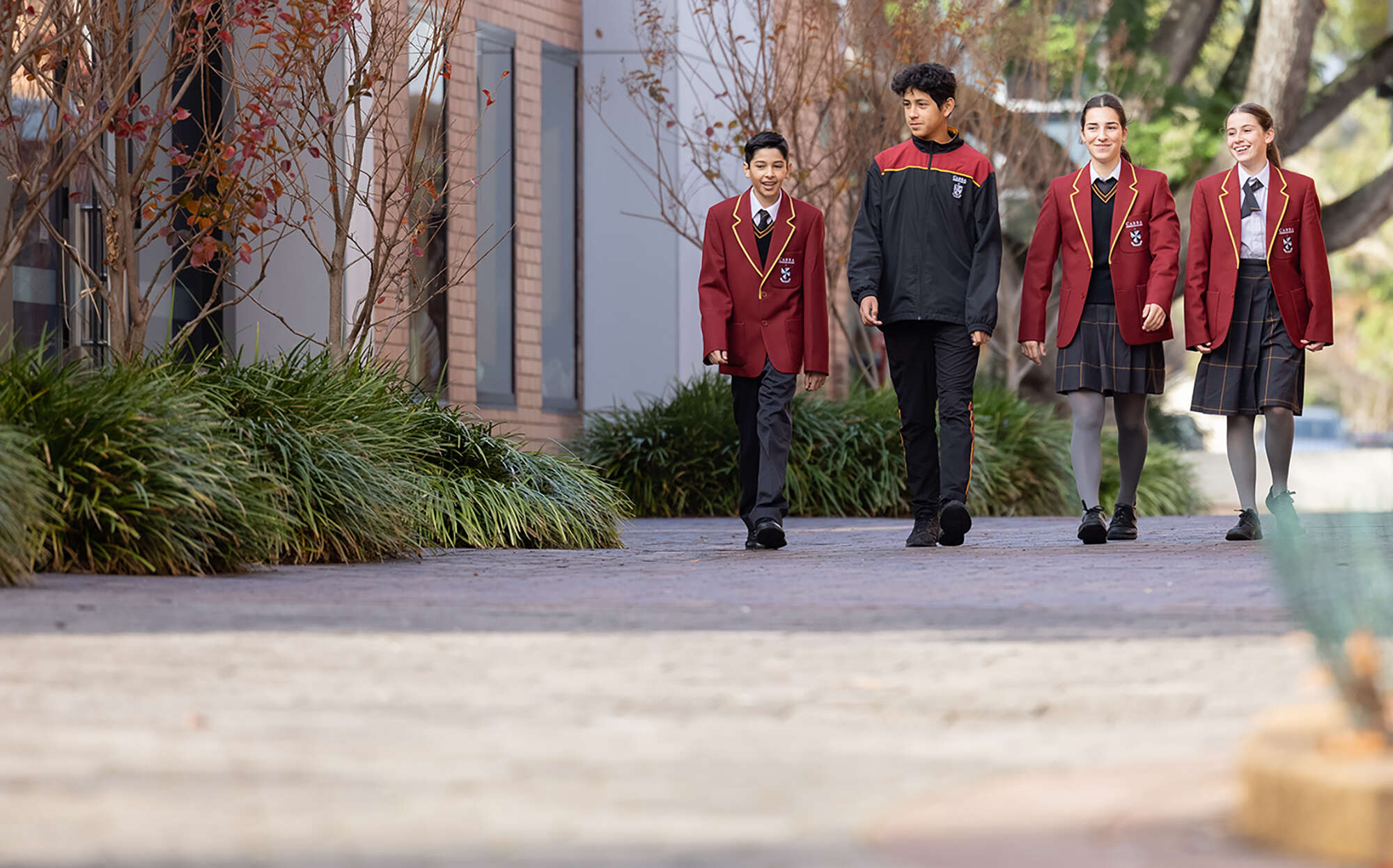 Cabra Dominican College